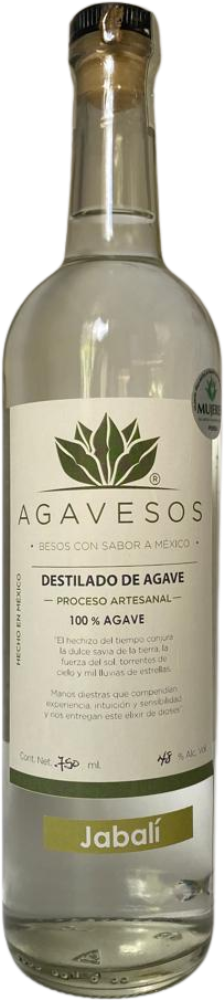Agavesos Agave-Jabalí