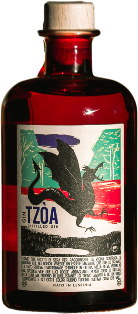 Gin Tzòa