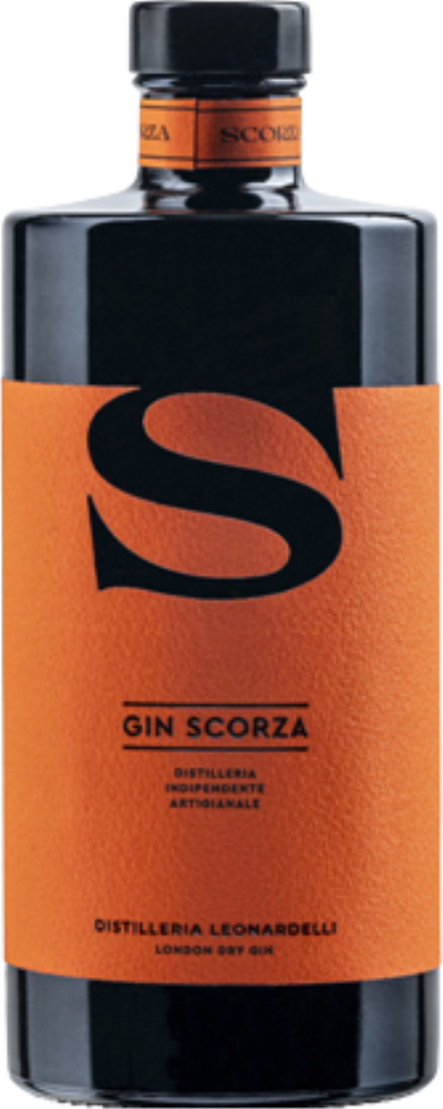 Gin Scorza 2023 - 2024