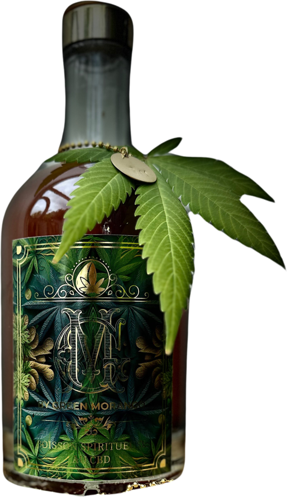 G M par Green Morango 2023
