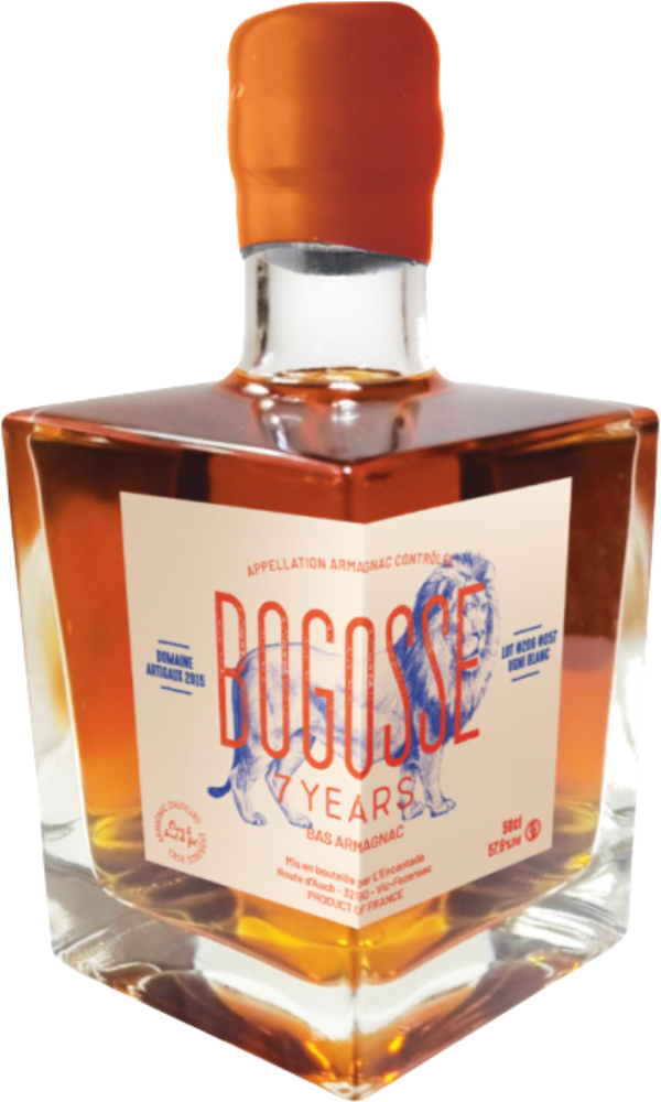 Bogosse 7 Years 2015