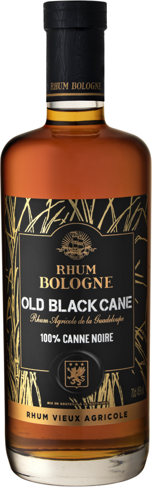Old Black Cane Bologne 3 à 5 Ans