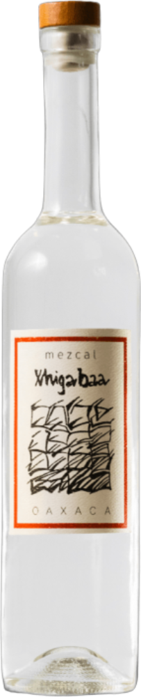 Xhigabaa Agave Espadín