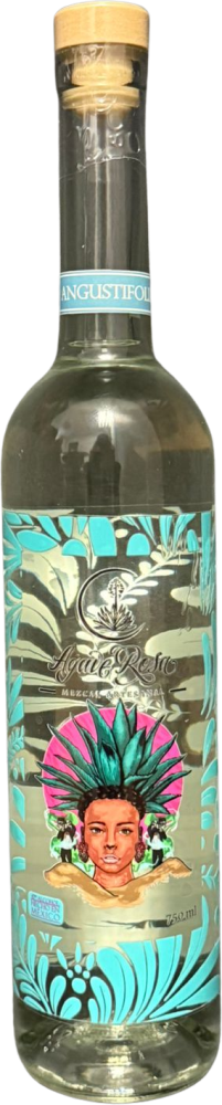 Agave Rosa Maguey espadín